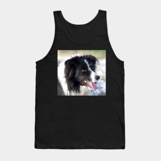 Border Collie dog in the snow Tank Top